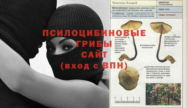 ПСИЛОЦИБИНОВЫЕ ГРИБЫ Медвежьегорск