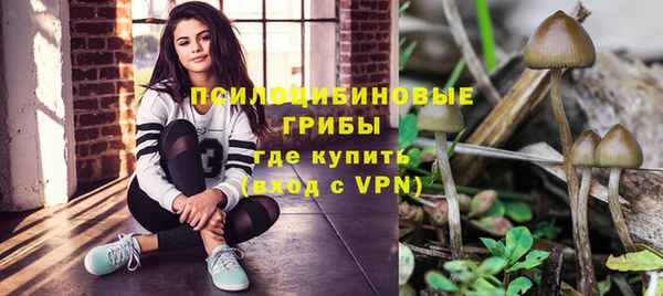 дмт Арсеньев