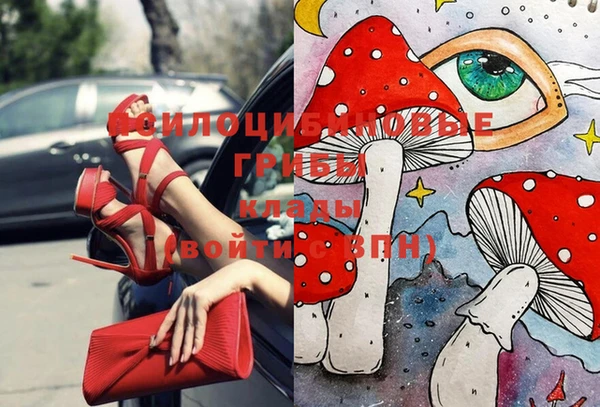 дмт Арсеньев