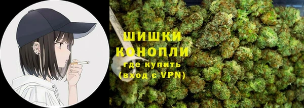 дмт Арсеньев