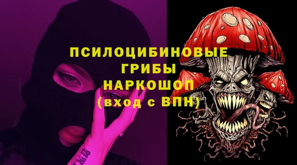ПСИЛОЦИБИНОВЫЕ ГРИБЫ Медвежьегорск
